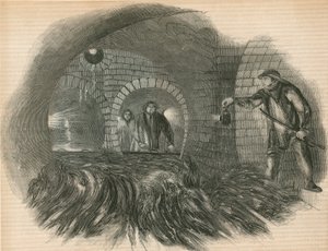 Flushing the Sewers by English School