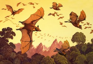 Flying Foxes