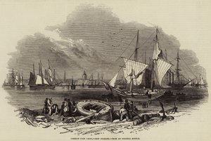 Foreign Corn Ports, New Orleans (engraving) by English School