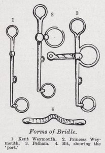 Forms of bridle by English School