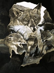 Fox Delivering Food to Its Cubs by English School
