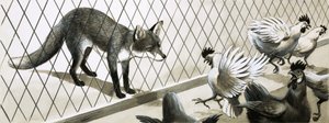 Fox eying chickens by English School
