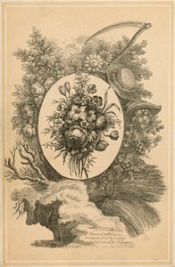 Frontispiece for The New Family Herbal by Matthew Robinson (engraving)