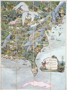 Game of the Star-Spangled Banner or Emigrants to the United States
