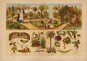 Garden by English School