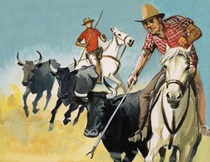 Guardians of the Camargue