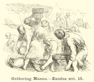 Gathering Manna, Exodus 16:15