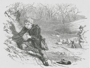Gathering Primroses