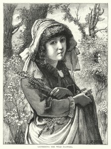 Gathering the wild flowers by English School