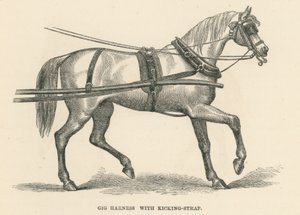 Gig Harness with Kicking-Strap by English School