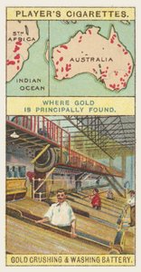 Gold by English School