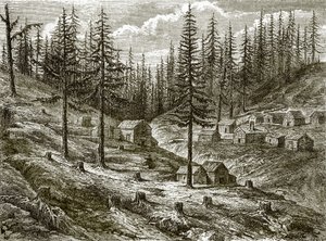 Grass Valley Diggings by English School