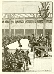 Great Unionist Demonstration in Belfast, 1890 by English School