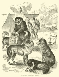 Greenland Eskimo dog-sledge by English School