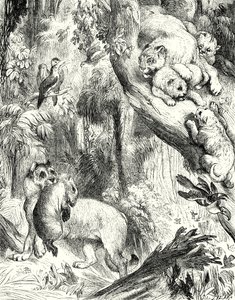 Group of Pumas by English School