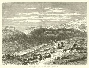 Grove of Oaks near Hazor, Joshua, xi by English School