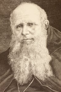 Guglielmo Massaia by English School
