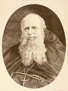 Guglielmo Massaia by English School