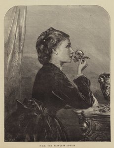 HRH the Princess Louise