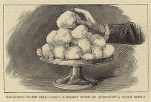 Hailstones which fell during a Recent Storm at Queenstown, South Africa by English School