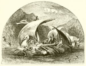 Hanno Approaching the Island of Wild Men