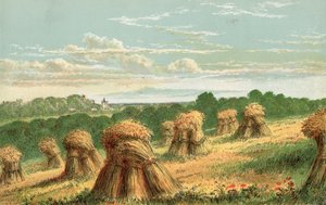 Harvest