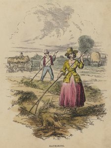 Haymaking