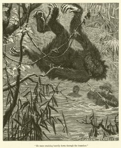He Came Crashing Heavily Down Through the Branches