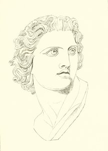 Head, Displaying Manly Vigour and Heroic Resolution