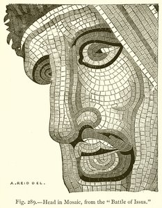 Head in Mosaic from the Battle of Issus