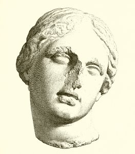Head of Aphrodite by English School