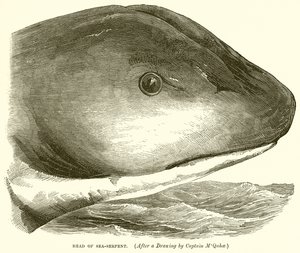 Head of Sea-Serpent by English School