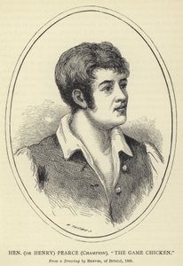 Hen (or Henry) Pearce, Champion, The Game Chicken by English School