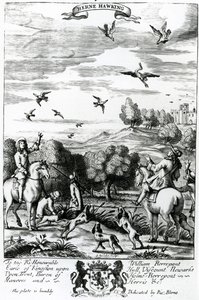 Herne Hawking, from 