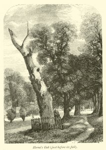 Hernes Oak, just before its fall by English School