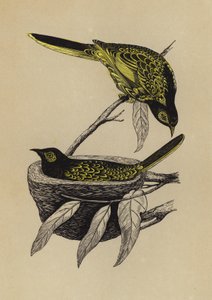 Honey-Eater by English School