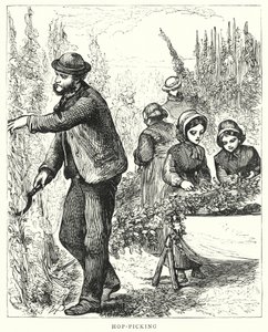 Hop-Picking by English School