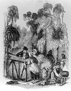 Hop Picking