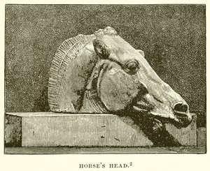 Horse