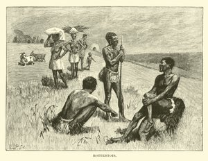 Hottentots by English School
