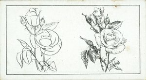 How to Sketch: Study of a Rose