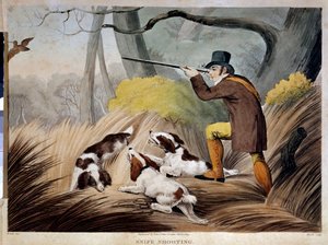 Hunting a Beak in England
