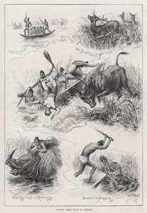 Hunting from Boats in Burmah by English School
