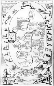 Hunting (from 