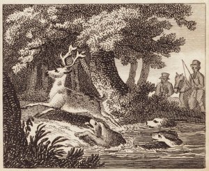 Hunting the Stag by English School