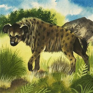 Hyena by English School