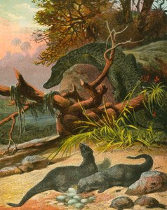 Ichneumon and Crocodile