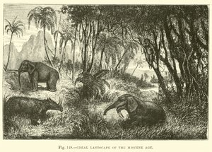 Ideal Landscape of the Miocene Age