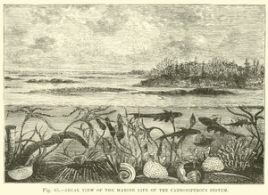 Ideal View of the Marine Life of the Carboniferous System