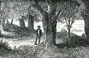 Illustration from 